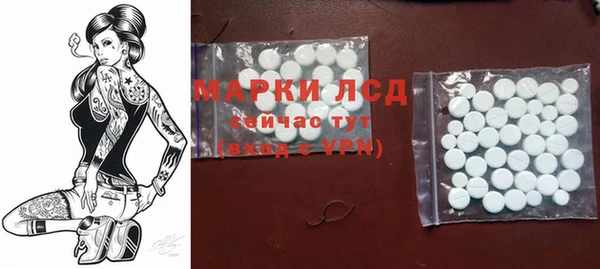 прущие крисы Бородино