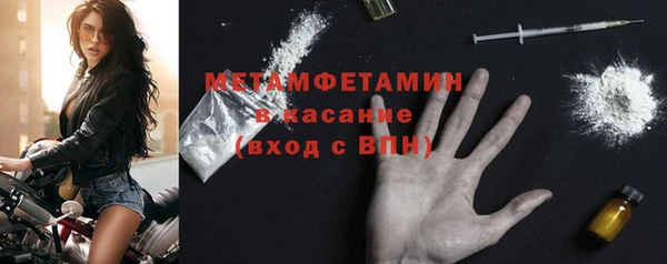 прущие крисы Бородино