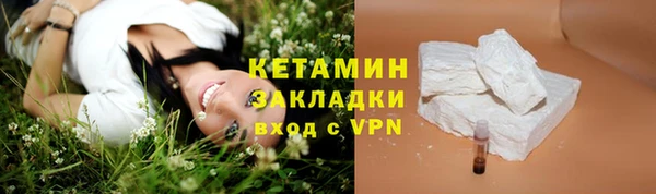 прущие крисы Бородино